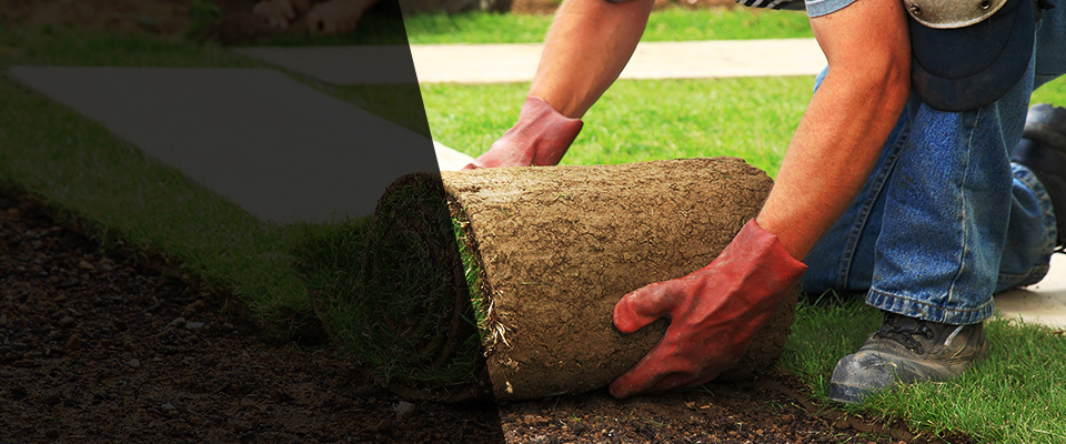 Harrison Landscapers